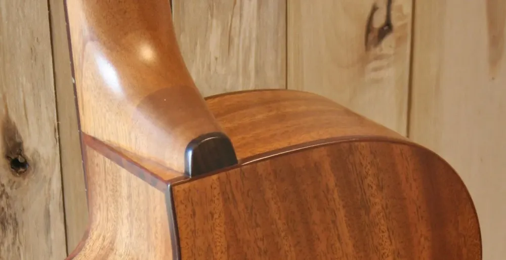 Détail guitare